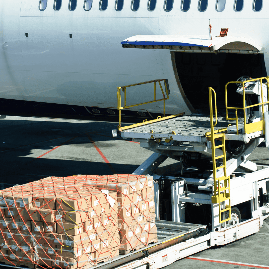 Import and Export Activities